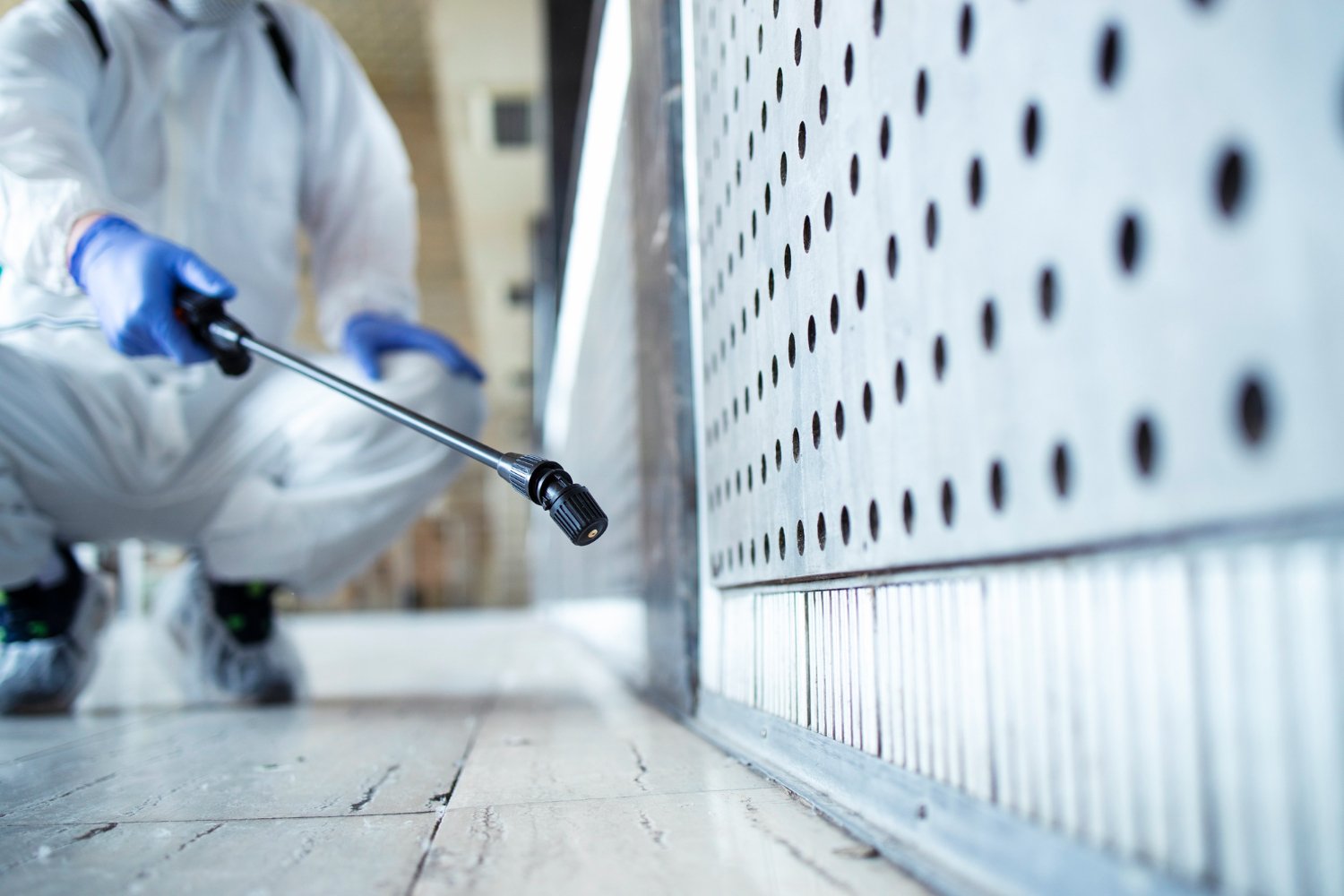 IICRC-certified mold remediation services in Houston — Prestige Restoration inspecting mold damage in a residential property